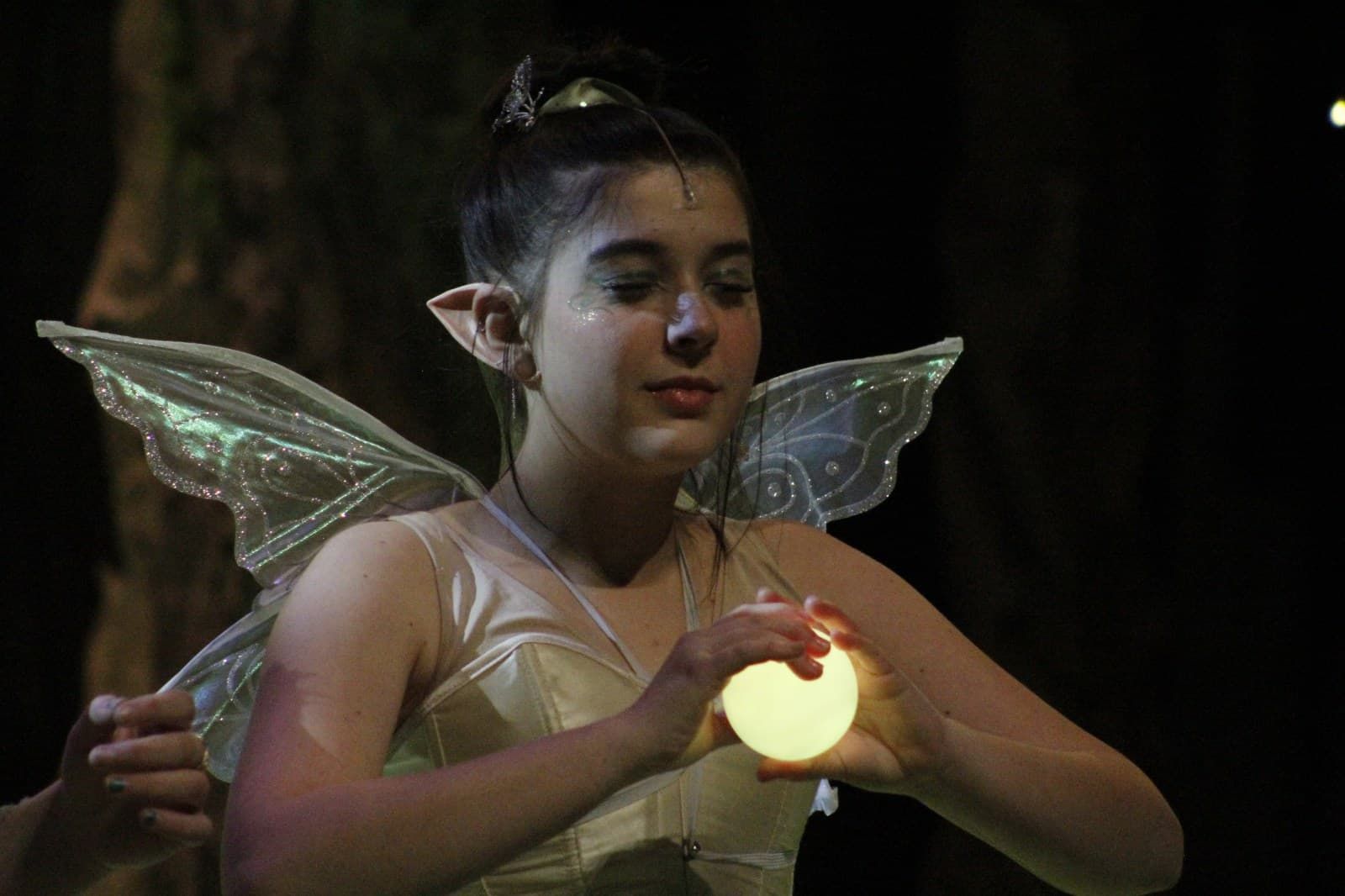 Tink: A Fairy Origin Story
